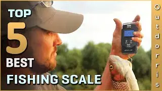 Top 5 Best Fishing Scale Review in 2025