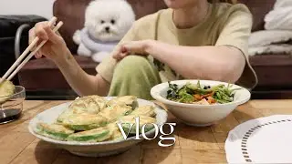 한 달간의 마카롱 수업, 왓츠인마이백과 데일리메이크업, 양평의 mk2 쇼룸 구경가기, 애호박 1개 뿌시기 브이로그