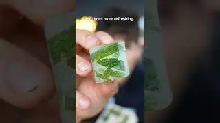 Making lemon mint ice cubes