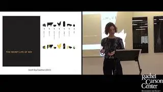 Lunchtime Colloquium: Floor Haalboom