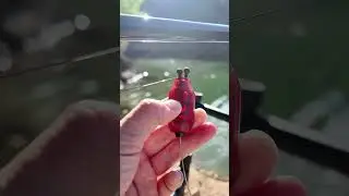 X1 Swinger &mdash; One Press, Ready to Go! 🎣⚡