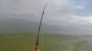 Crooked Island Florida Fly Fishing