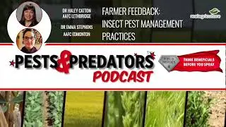 Pests & Predators, Ep 30:  Farmer feedback  insect pest management practices