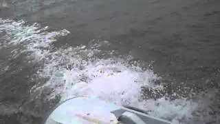 Planing dinghy 2