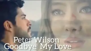 Peter Wilson  - Goodbye My Love  2022