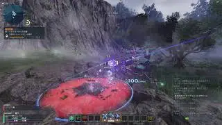 バグって超かたくなったナグルス【PSO2NGS&beta;】