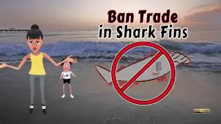 Shark Finning - Ban The Trade In Shark Fins NOW www.BaileyVideo.com