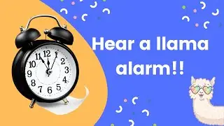 Llama alarm calling at the neighbors dog. #shorts #llamas #animalsounds 🦙⏰