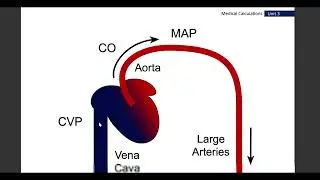 Mean Arterial Pressure | Medical Calculation Made Easy | Physiology | Viva, Test, Exam
