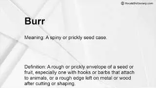 Burr Meaning