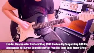 Custom By Cougar Amp Fender Stratocaster Custom Shop