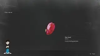 How to get the Red Jewel - Resident Evil 2 Remake