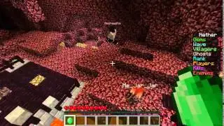 Minecraft villager protecter w/ Murphy