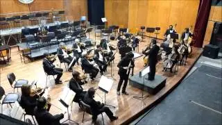Concierto para flauta en Mi menor - Saverio Mercadante 2 mov