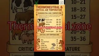 🌍Thermoneutral Zone vs Critical Air Temperature | Animal Adaptation to Climate #thermoneutralzone 📚🔥