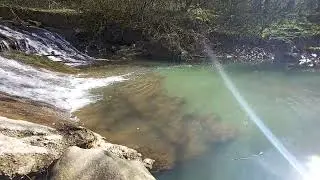 528hz waterfall & forest healing sounds (live & loud)