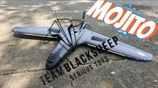 TBS Mojito with Walksnail GT!! OSD Flicker fixed?!