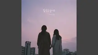 In The Night Sky