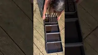 Watering your Soil Blockers from the bottom