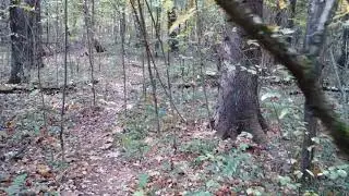 Община   Духовная семья  Семья второго порядка