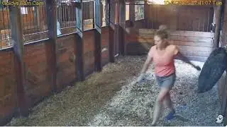 Goldy's Barn Rescues  541pm Julie  hay front stall 1072025