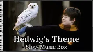 [1 Hour Loop] Hedwig's Theme - Harry Potter [Slow Music Box/MIDI]