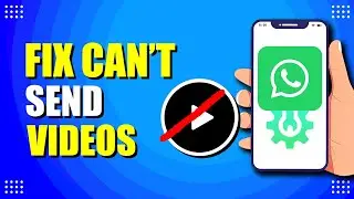 Как быстро и легко исправить проблему с отправкой видео в WhatsApp