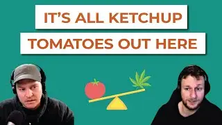 Hemp Companies are mostly Ketchup Tomatoes - Pe256