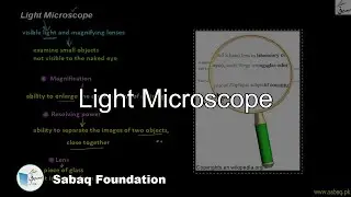 Light Microscope, Biology Lecture | Sabaq.pk