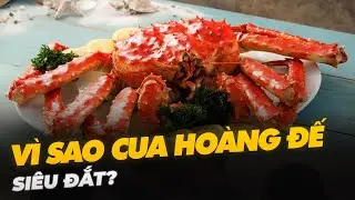 V&Igrave; SAO CUA HO&Agrave;NG ĐẾ SI&Ecirc;U ĐẮT?