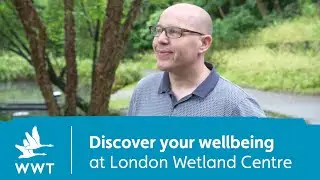 Discover your wellbeing at London Wetland Centre | WWT