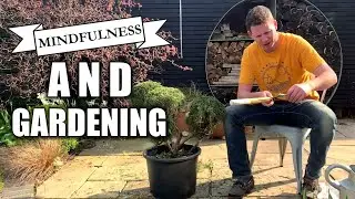 Mindfulness And Gardening