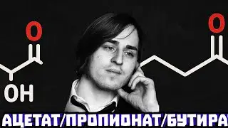 SCFA: 3 кислоты, которые связывают кишечник и мозг | Владимир Алипов
