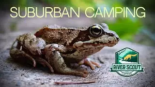 River Scout / Suburban сamping / Подмосковный кемпинг