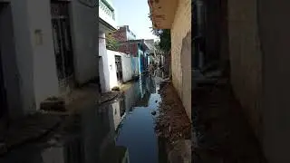 Basti awa valmeki road ward 2 ||ferozpur city|| block sweever