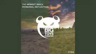 Personal Reflection (Radio Edit)