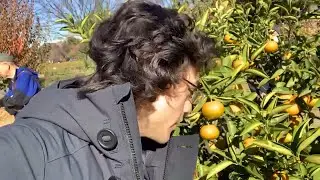 Do Not Eat the Forbidden Fruit at the Imperial Palace | Tokyo Japan Part 2