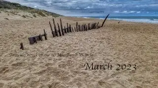 Trinculo Wreck.