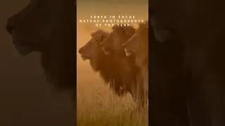 EIF2025 Submit Now Video 2025