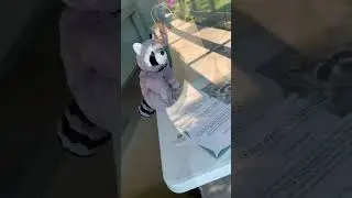 Family Fun Zoo Adventures: Busch Wildlife Sanctuary Full Tour Jupiter Fl