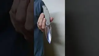 Daily Pocket Check 731 Monterey Bay Knives Sabertooth