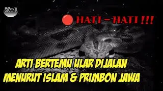 Arti Bertemu ular dijalan menurut Islam dan primbon jawa
