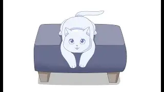 Liquid cat