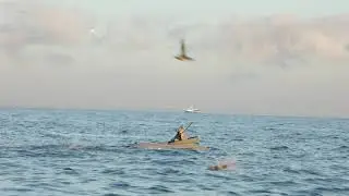 Chesapeake Bay Sea Duck Hunting