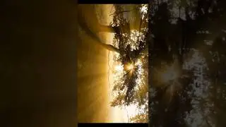 Sun ray effect tutorial- Application name:- Node video editor #edit #edits #editing #tutorial #reels