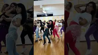New bellydance class combo ! #learnbellydance #bellydanceclass #bellydancelessons
