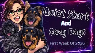 Quiet Start | Cozy Days After Christmas
