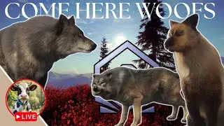 The Hunter Call of the Wild: HAPPY NEW YEAR!!! G1 woof grind #2 Running and Gunning the Yukon  #cotw