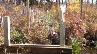 Danvers swamp walkway (elevated platform)