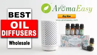Wholesale Diffusers Mini Essential Oil Diffuser A069